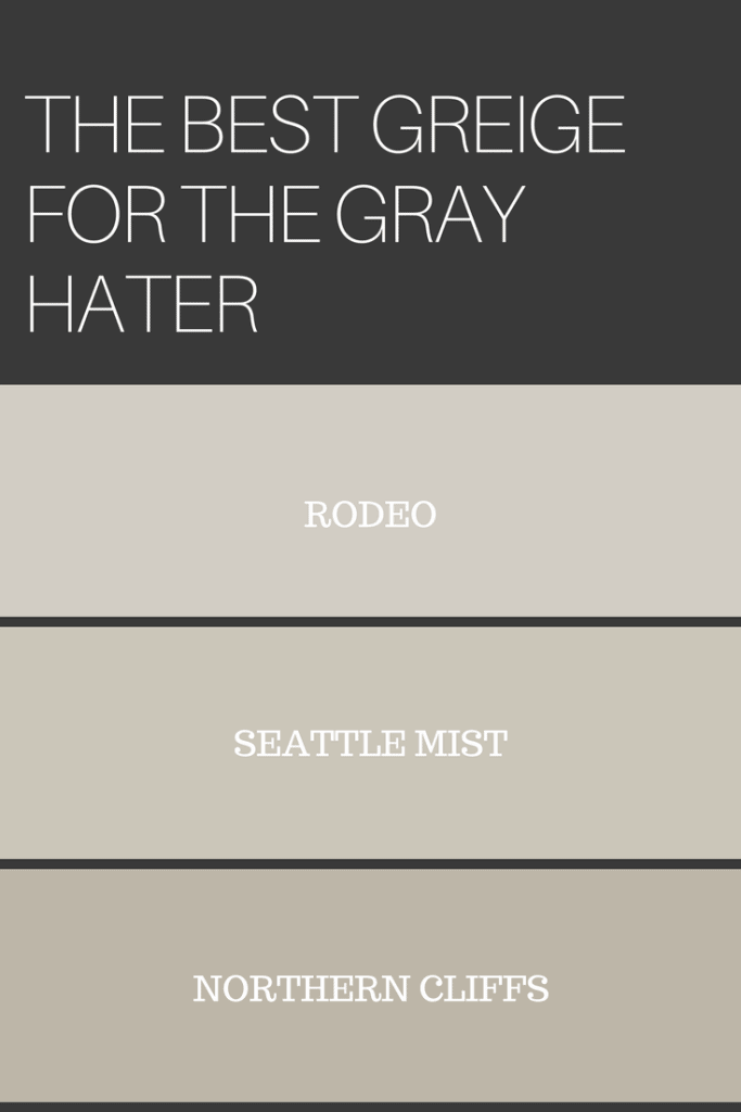Benjamin Moore paint colors rodeo, seattle mist, northern cliffs