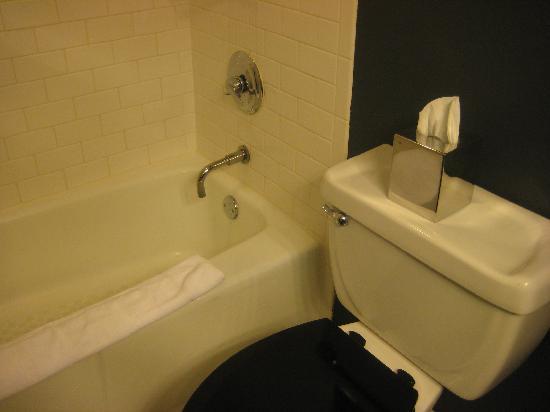 tub-and-toilet-small tub and toilet small